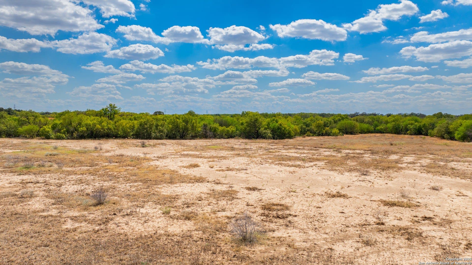 48 acres in Wilson County - photo 25