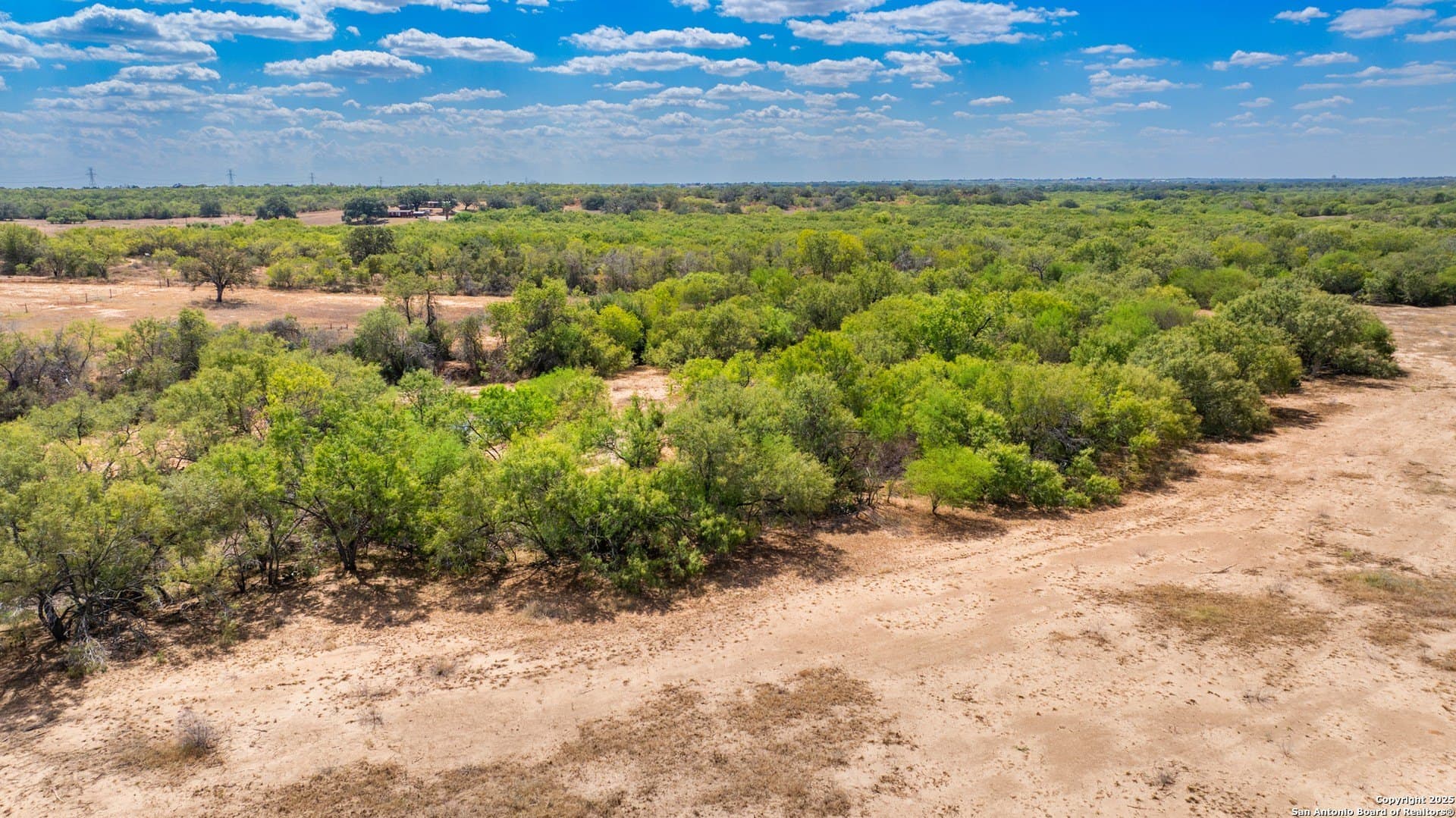 48 acres in Wilson County - photo 27