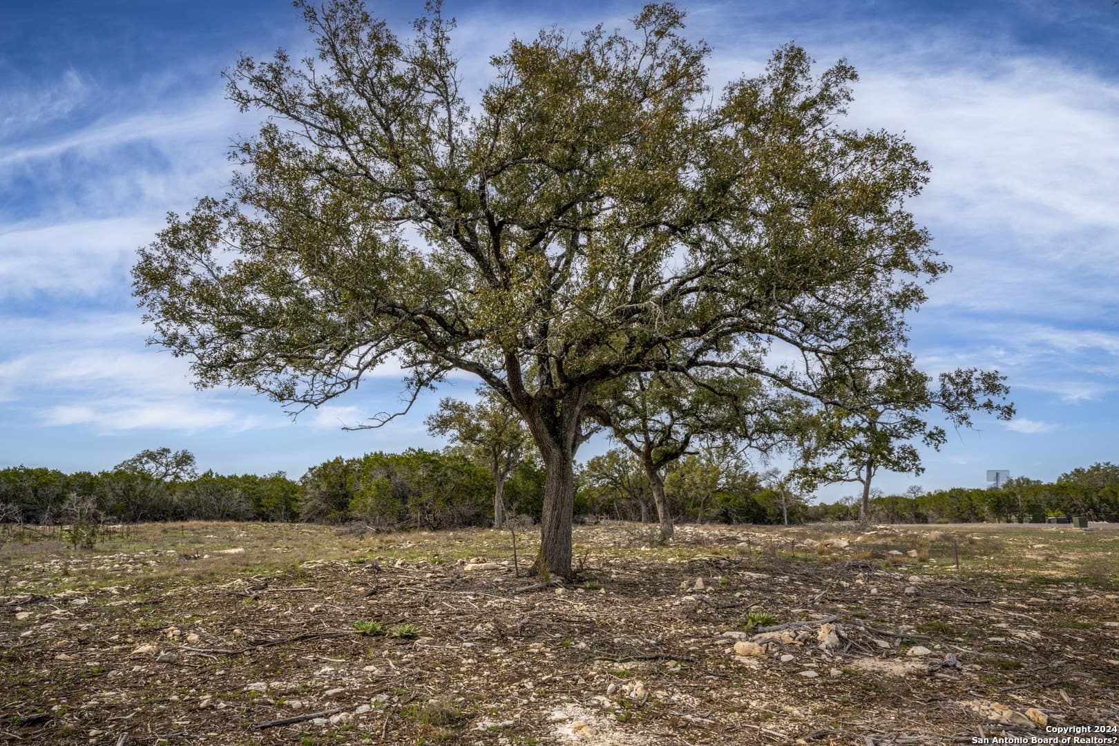 2.12 acres in Kendall County gallery image 3