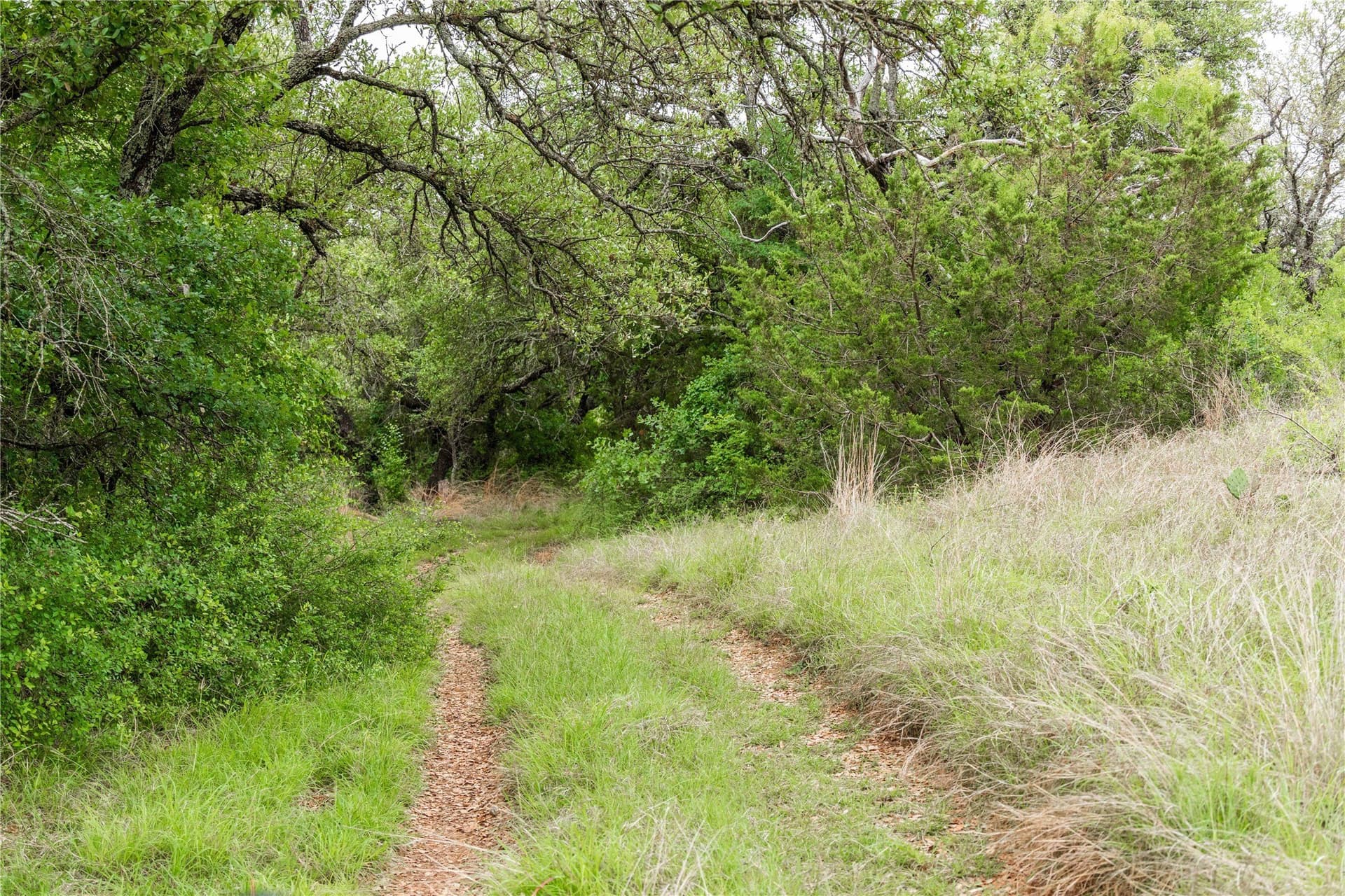 474.5 acres in Brown County - photo 10