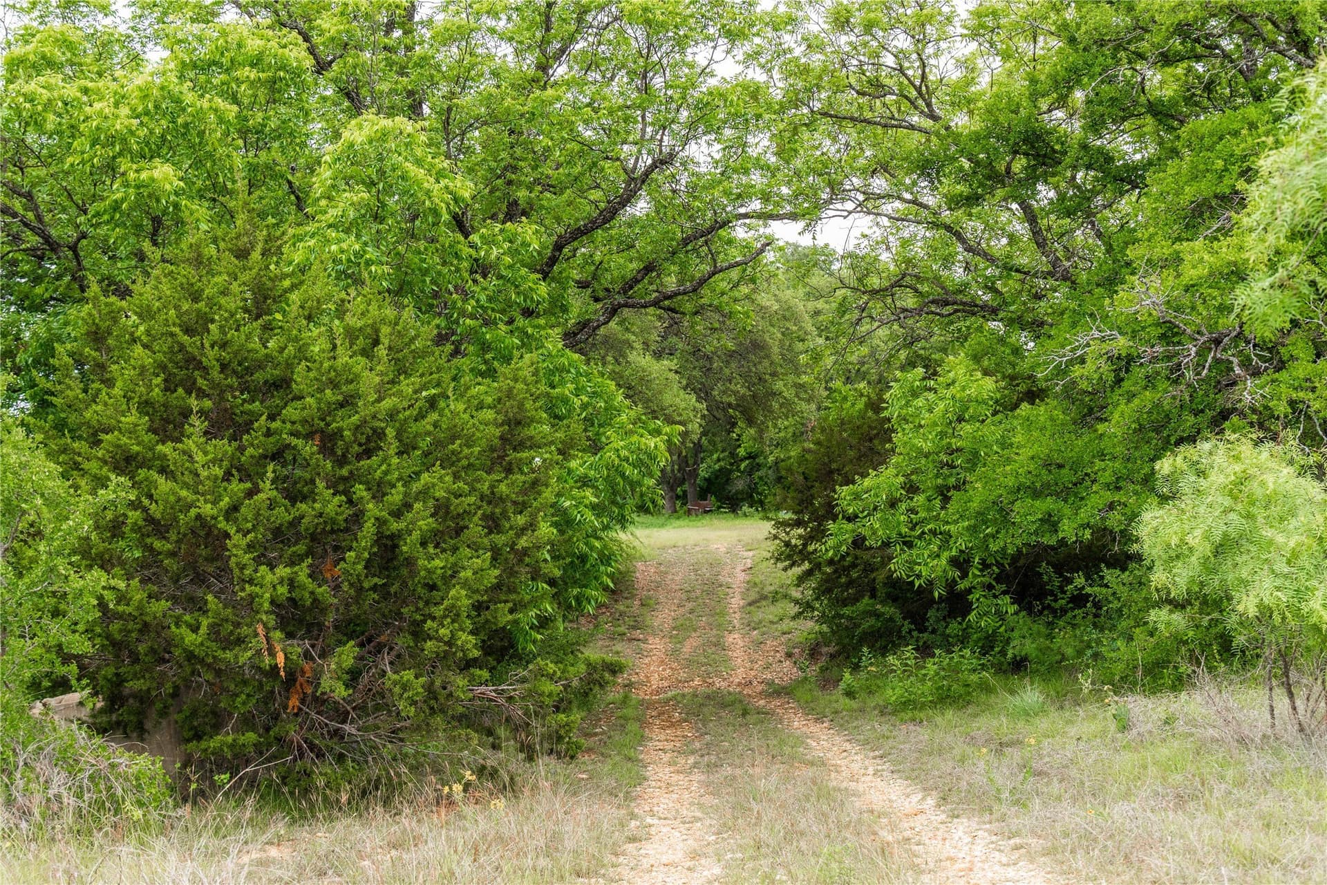 474.5 acres in Brown County - photo 14