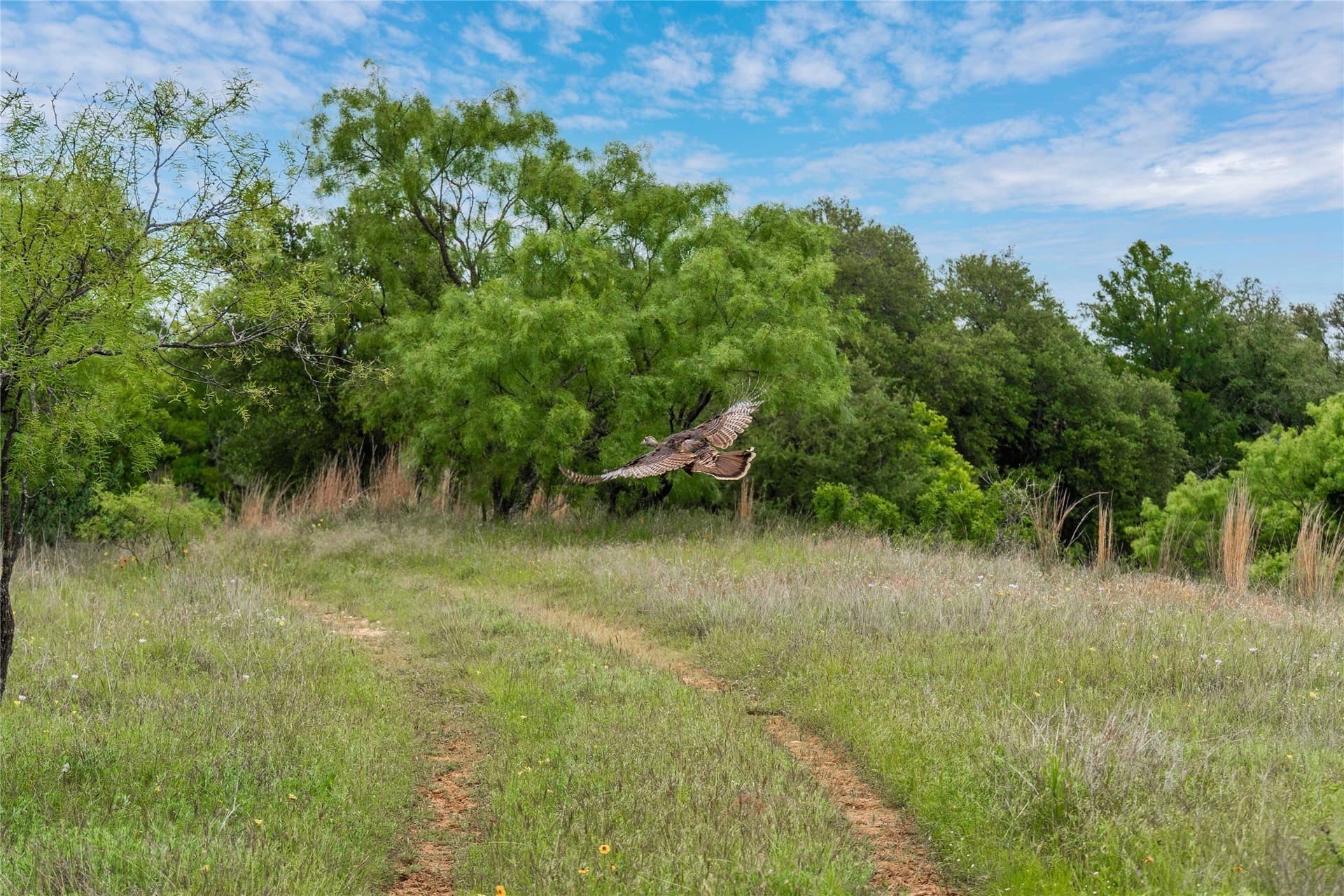 474.5 acres in Brown County - photo 2