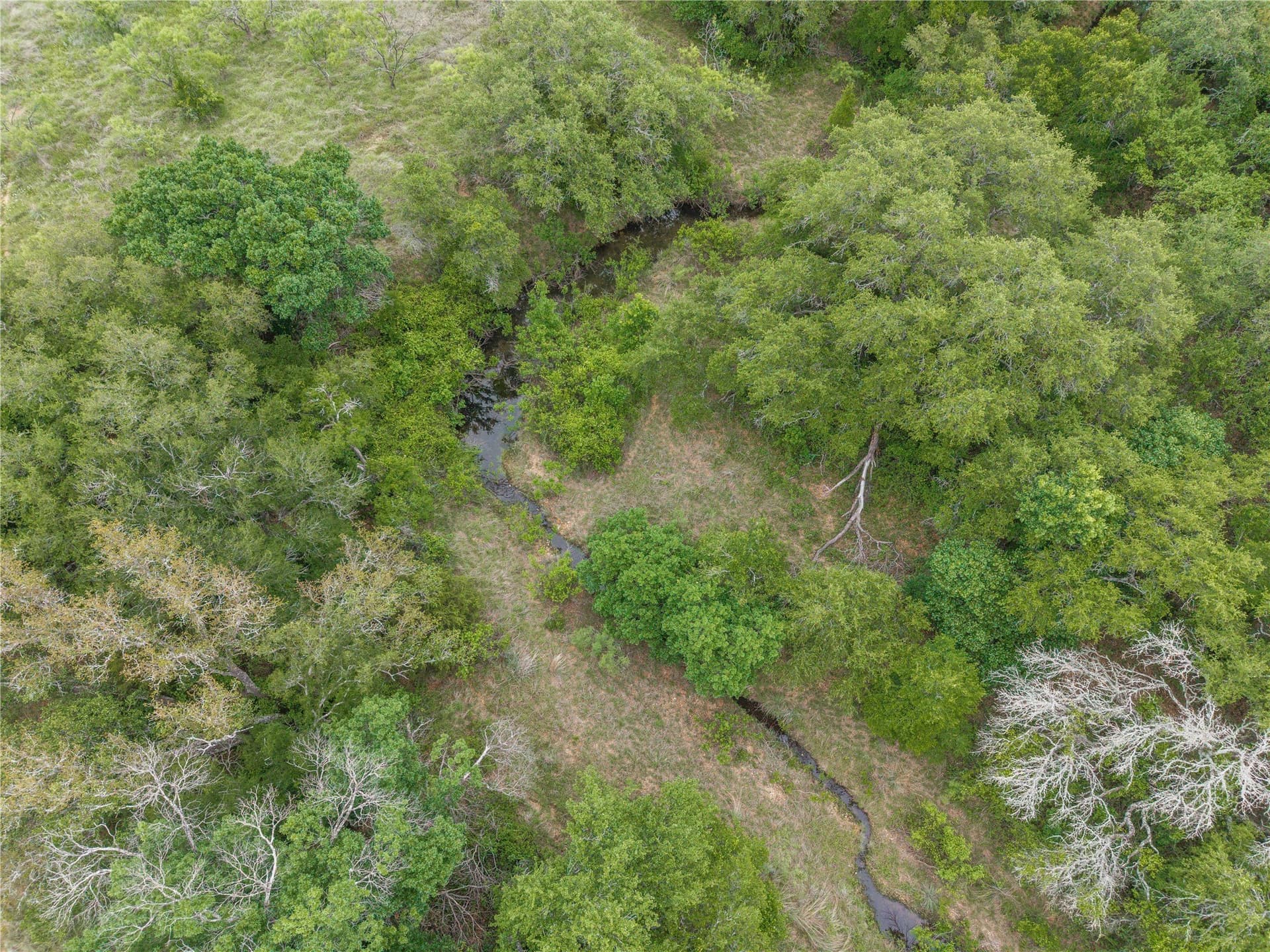 474.5 acres in Brown County - photo 6