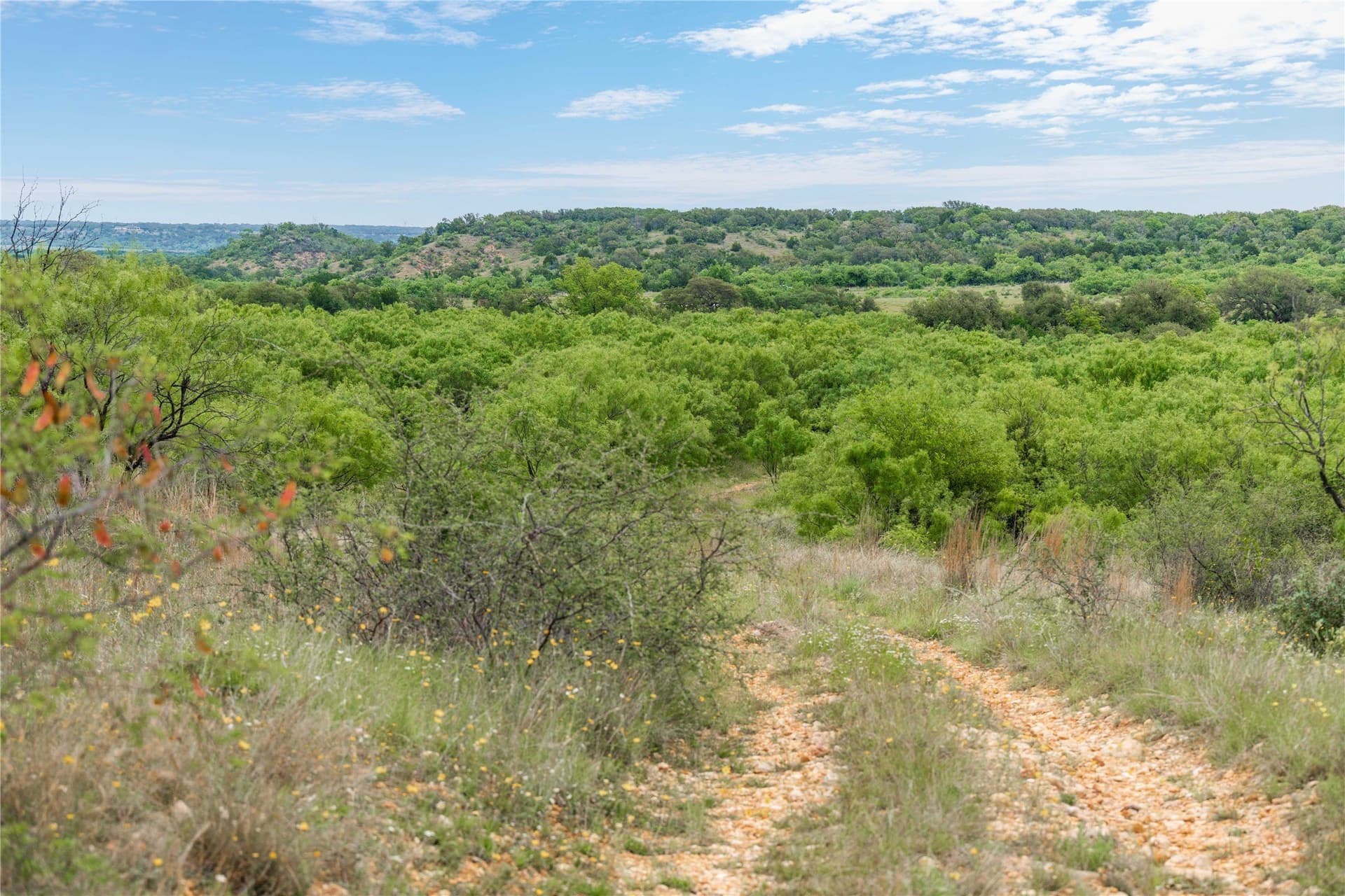 474.5 acres in Brown County - photo 22