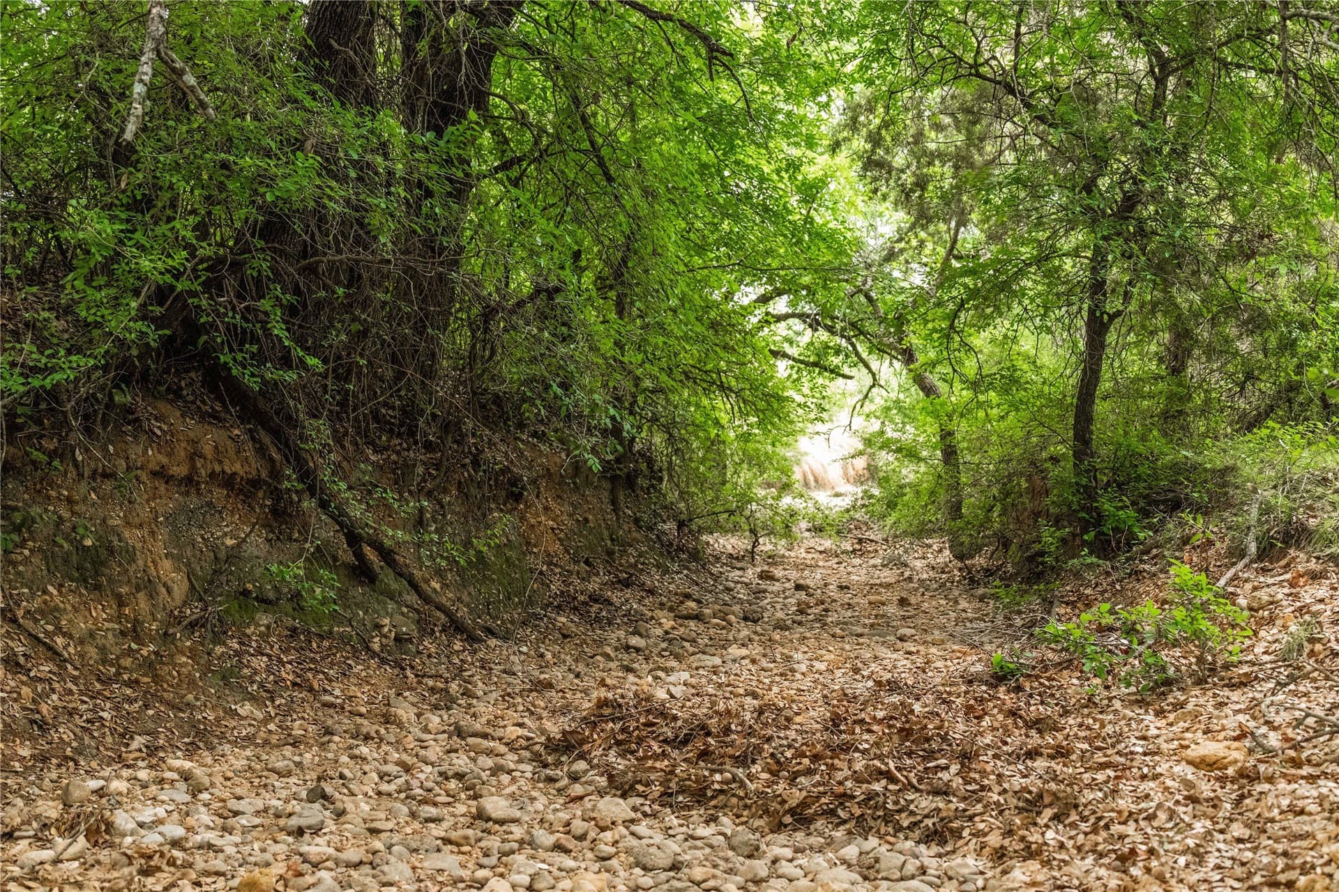 474.5 acres in Brown County - photo 13