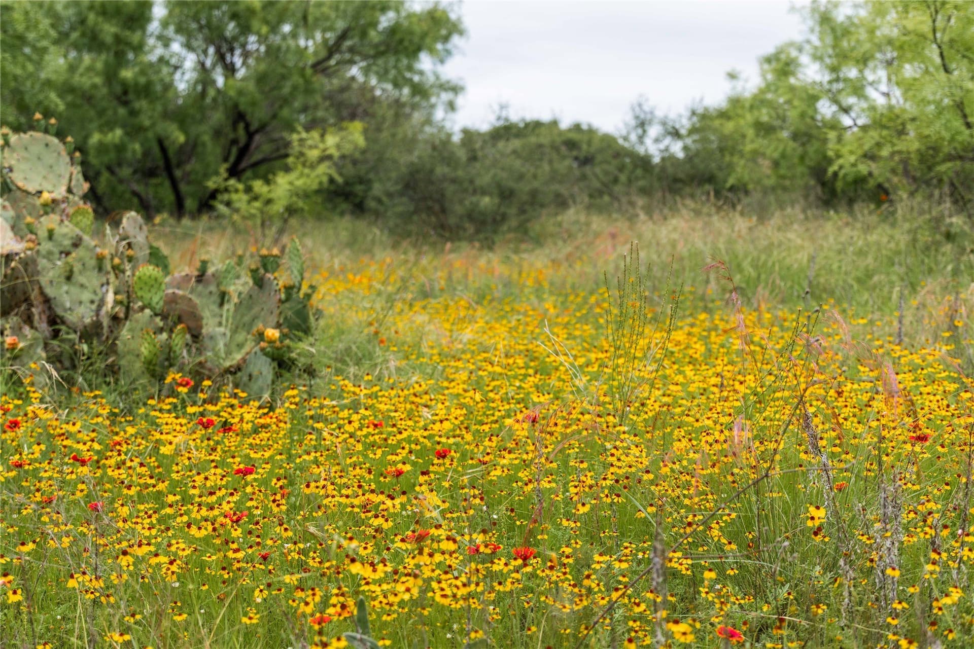 474.5 acres in Brown County - photo 35