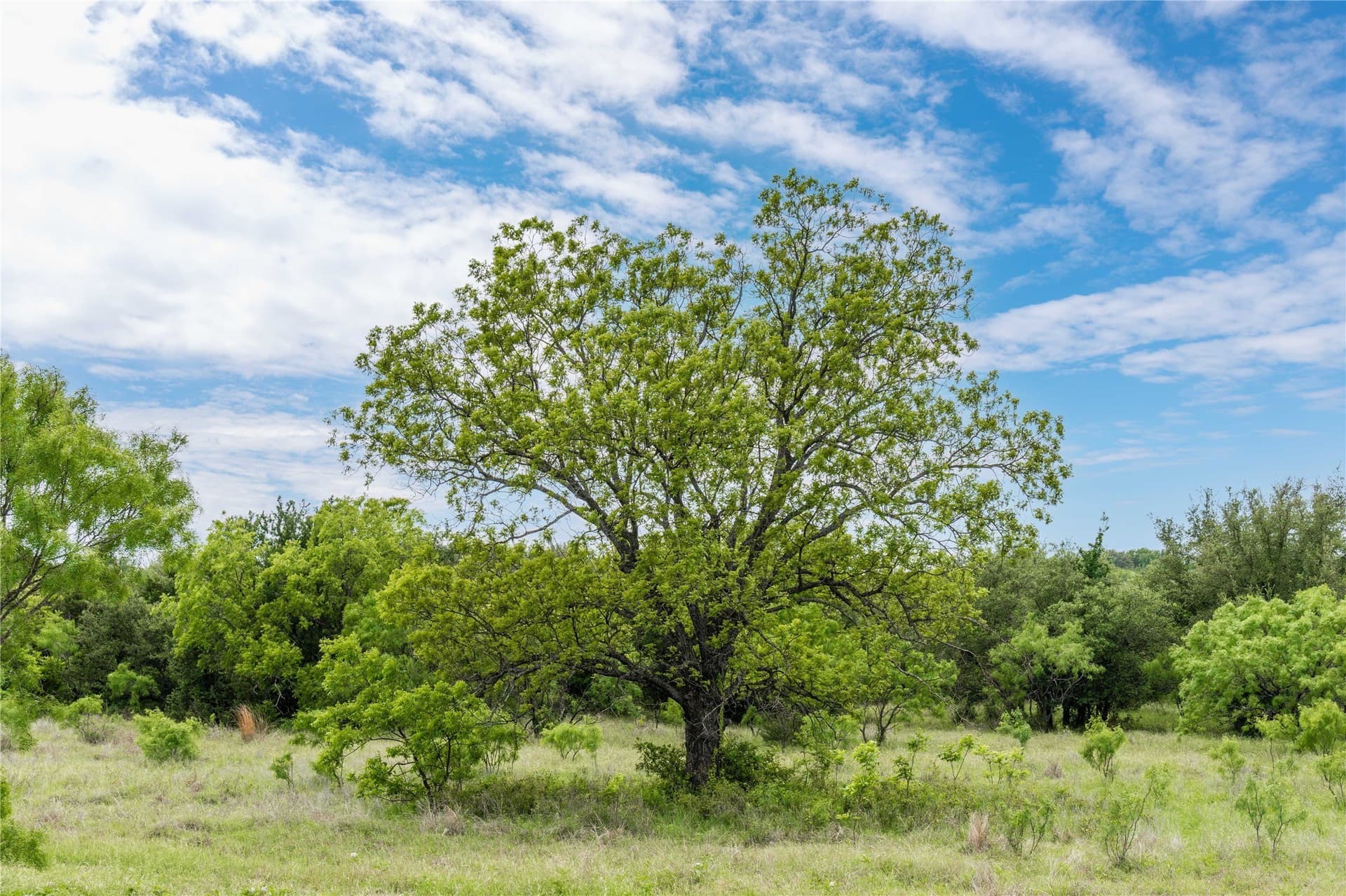 474.5 acres in Brown County - photo 7