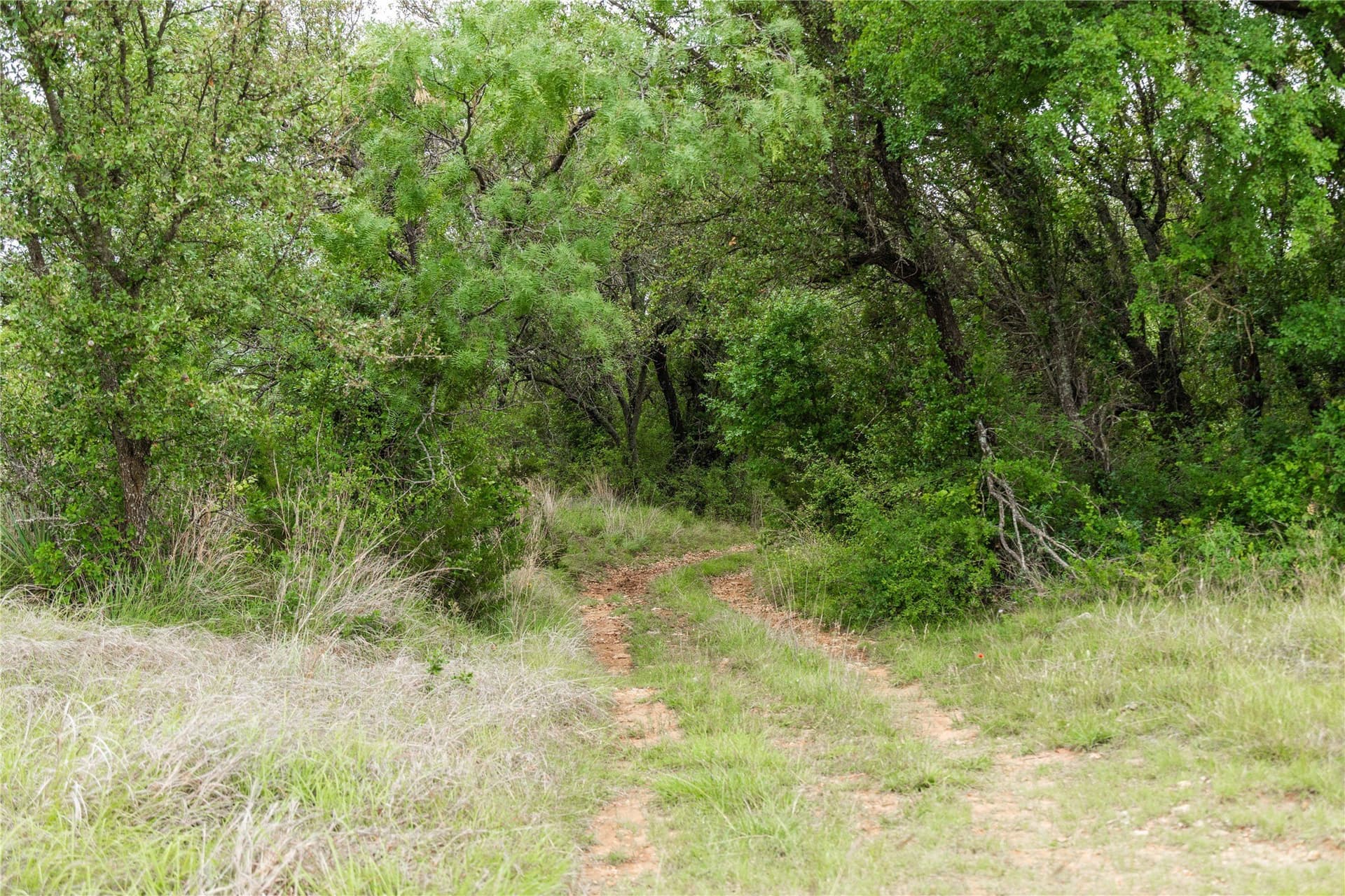 474.5 acres in Brown County - photo 19