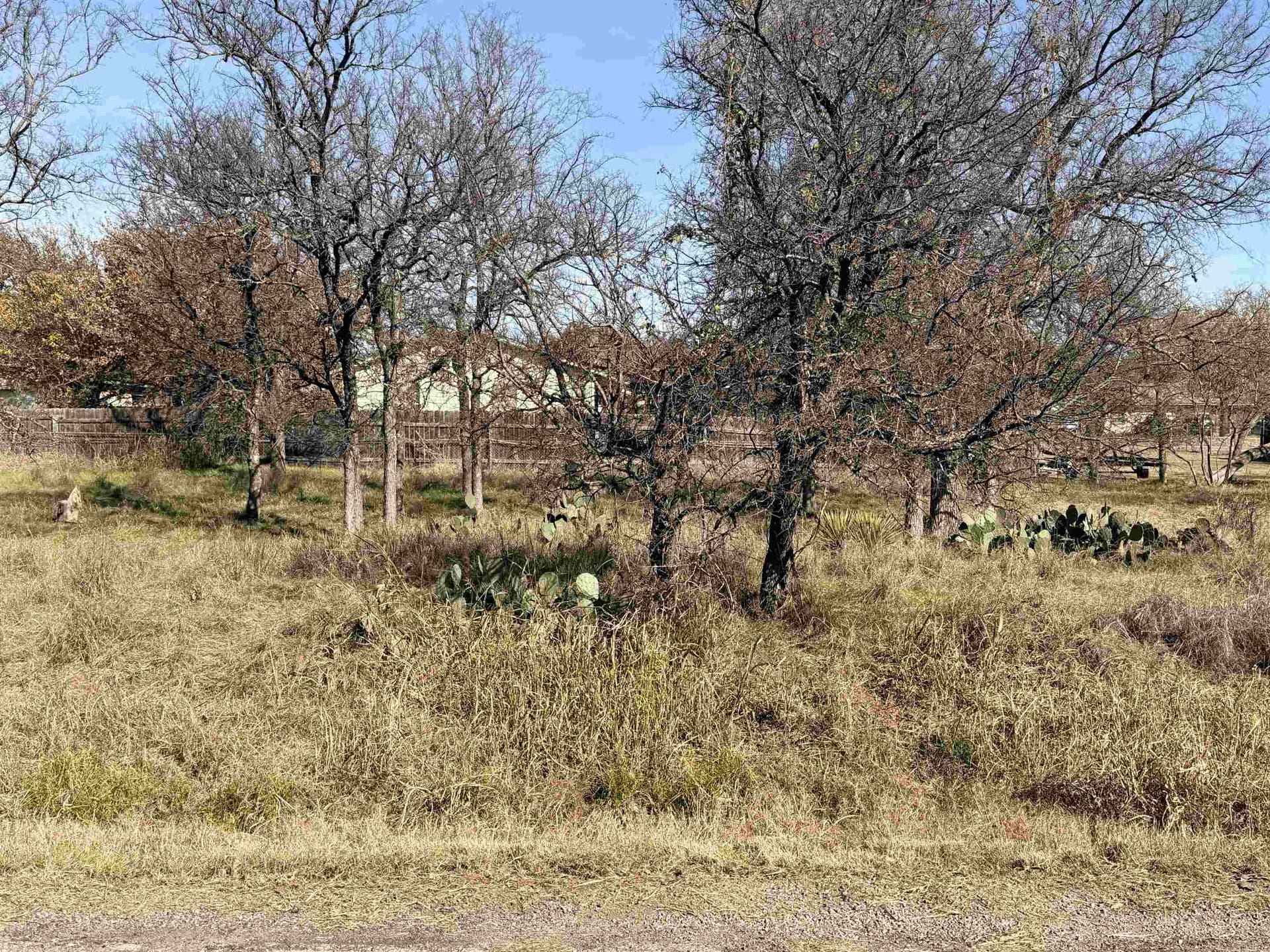 0.55 acres in Burnet County gallery image 2