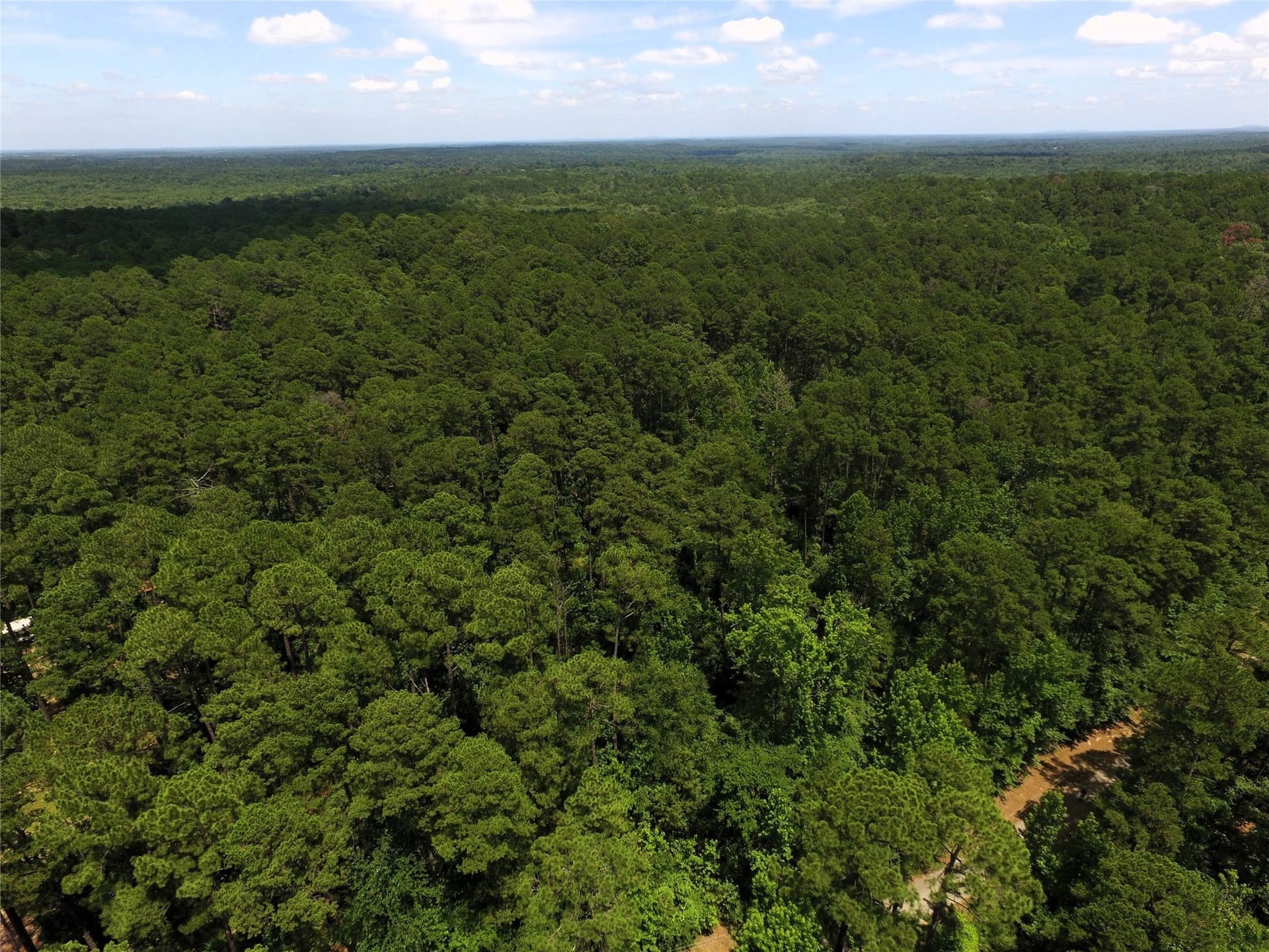 2.18 acres in Wood County - photo 11