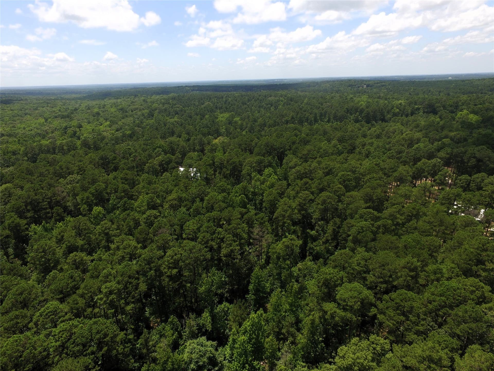 2.18 acres in Wood County - photo 12