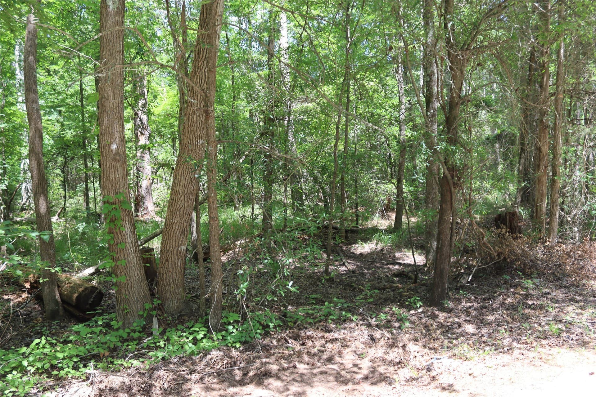 2.18 acres in Wood County - photo 5