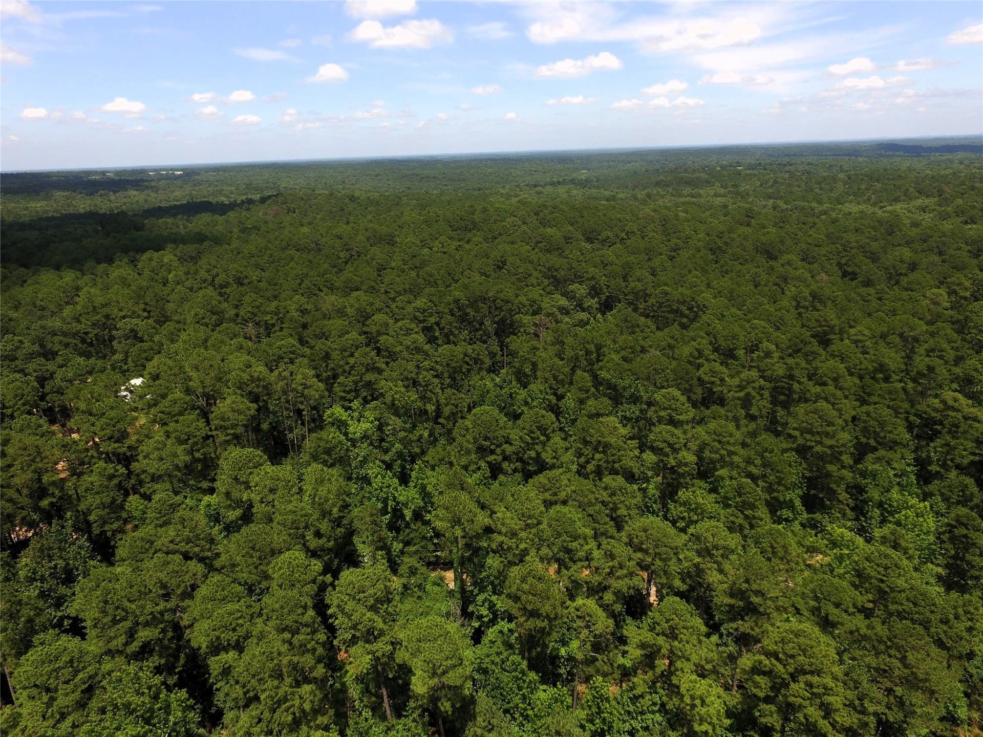 2.18 acres in Wood County - photo 16