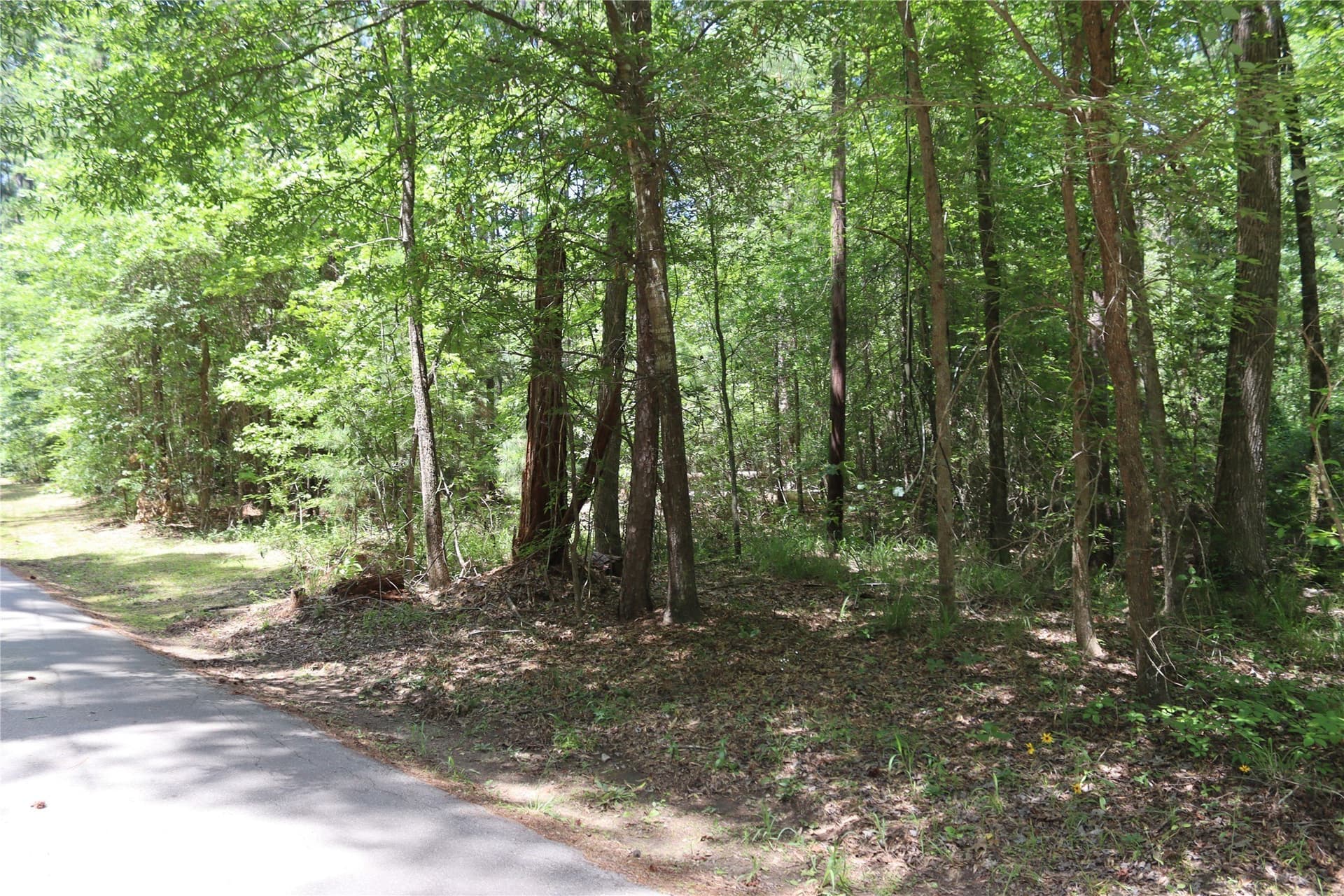 2.18 acres in Wood County - photo 10