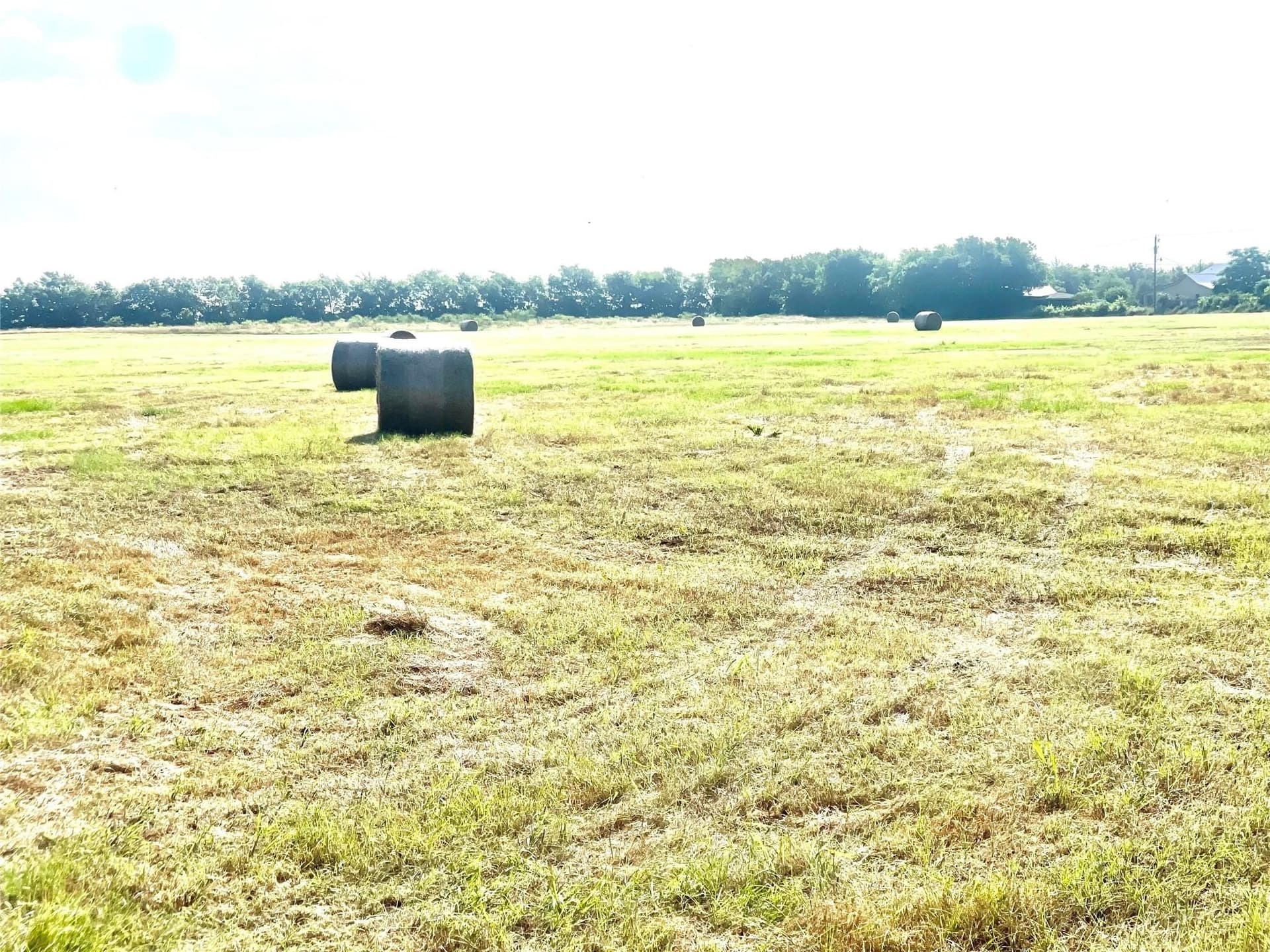 26 acres in Limestone County gallery image 4