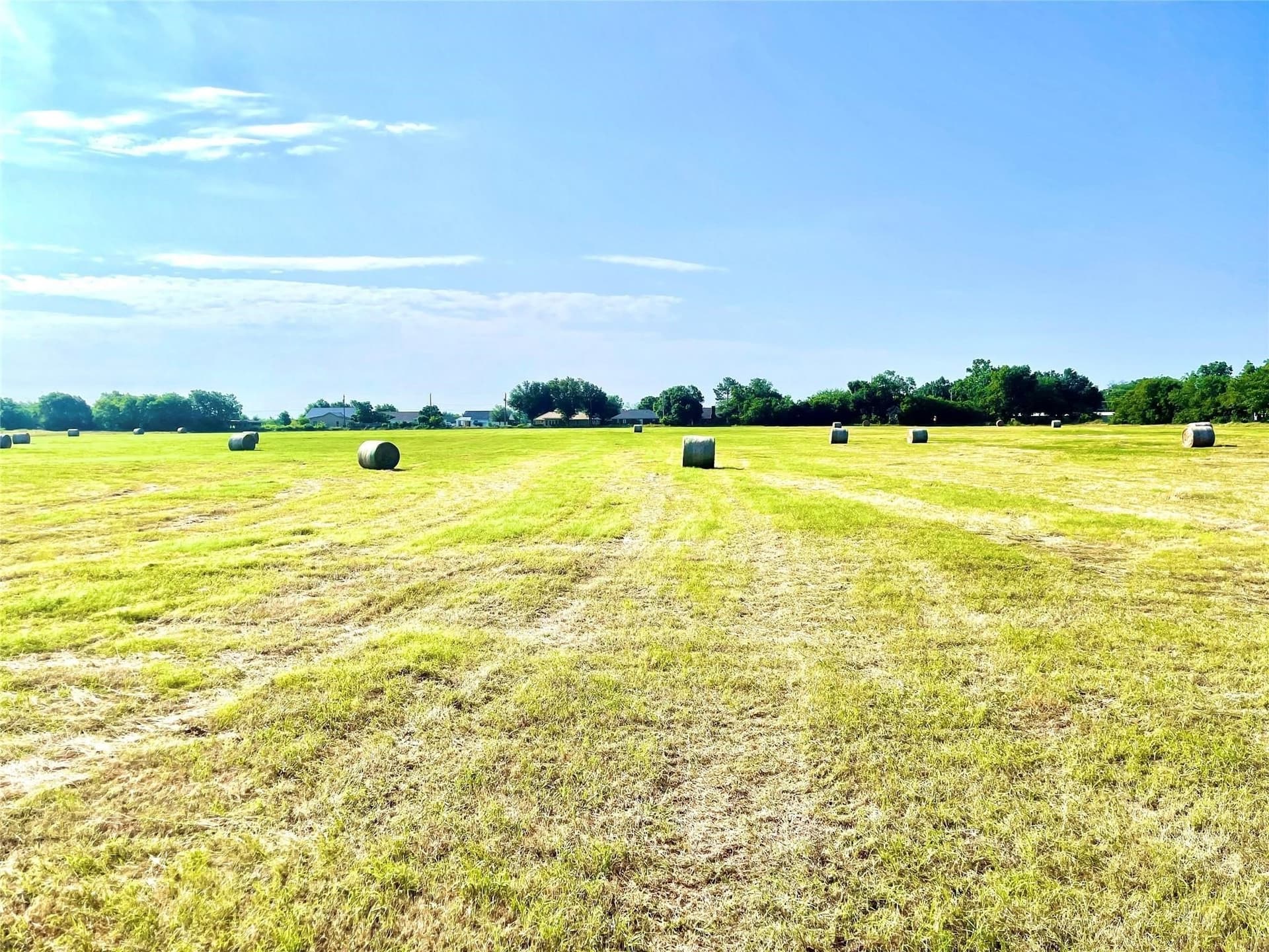 26 acres in Limestone County - photo 6
