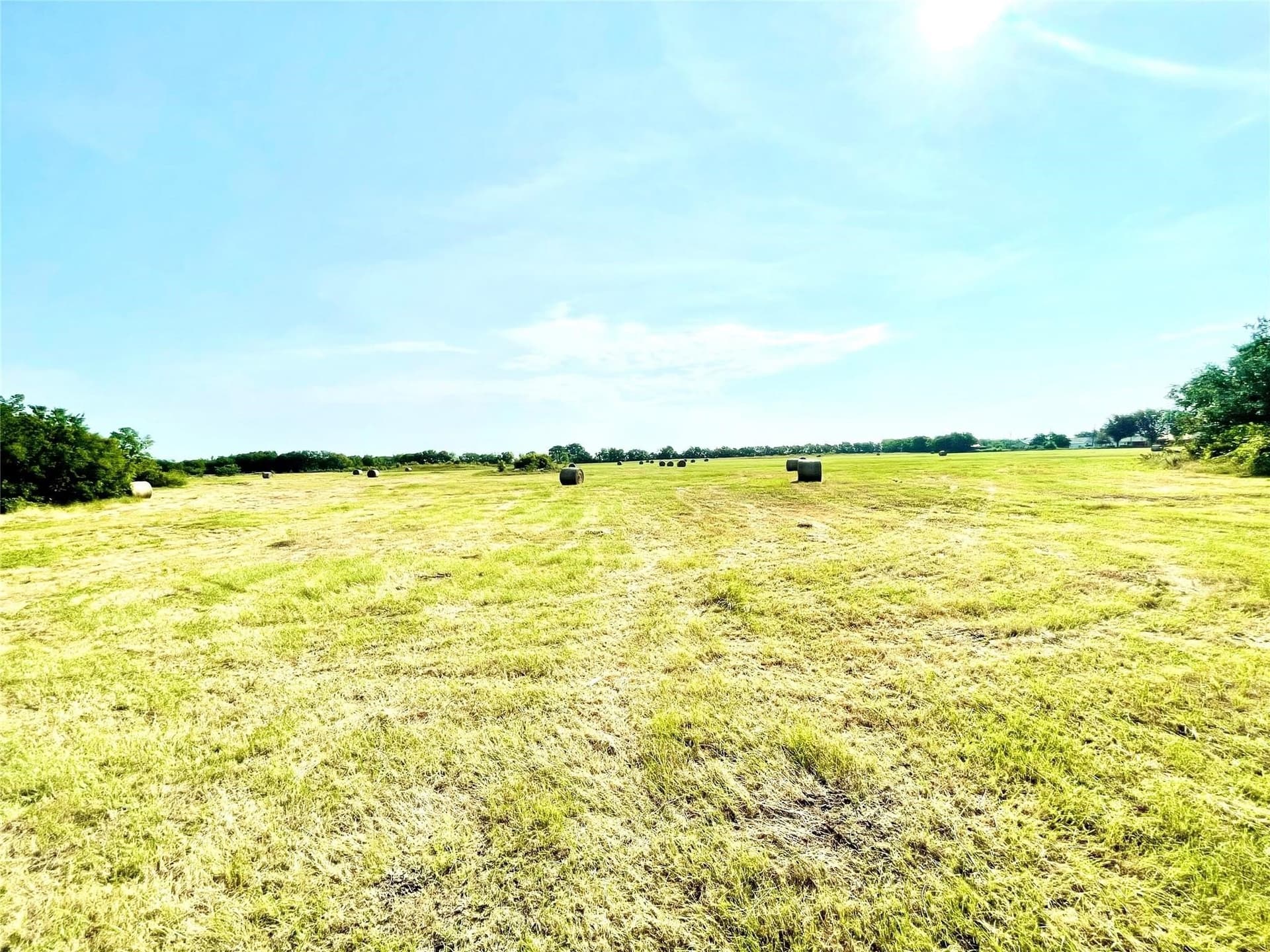 26 acres in Limestone County - photo 7