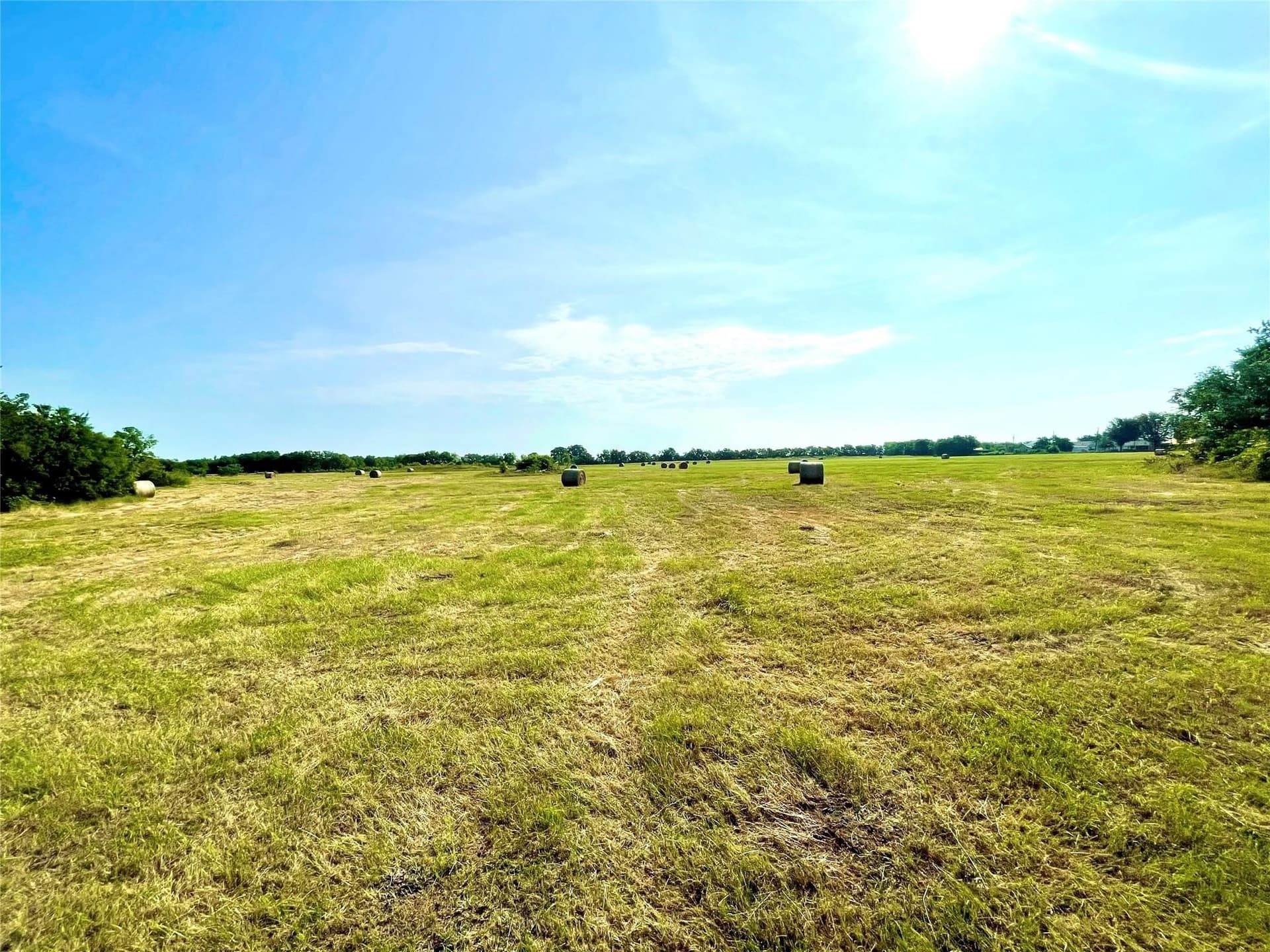 26 acres in Limestone County gallery image 3