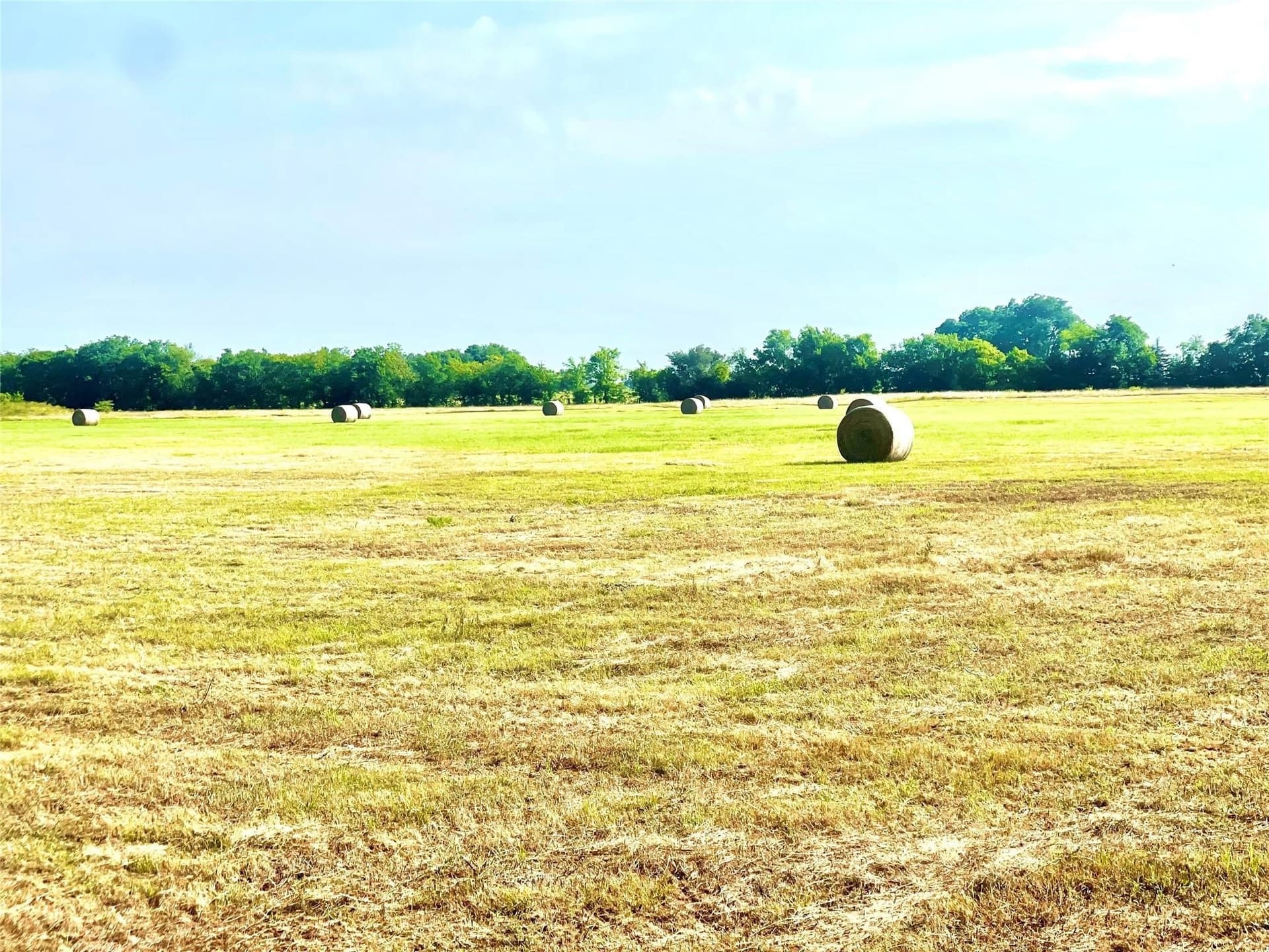 26 acres in Limestone County - photo 14