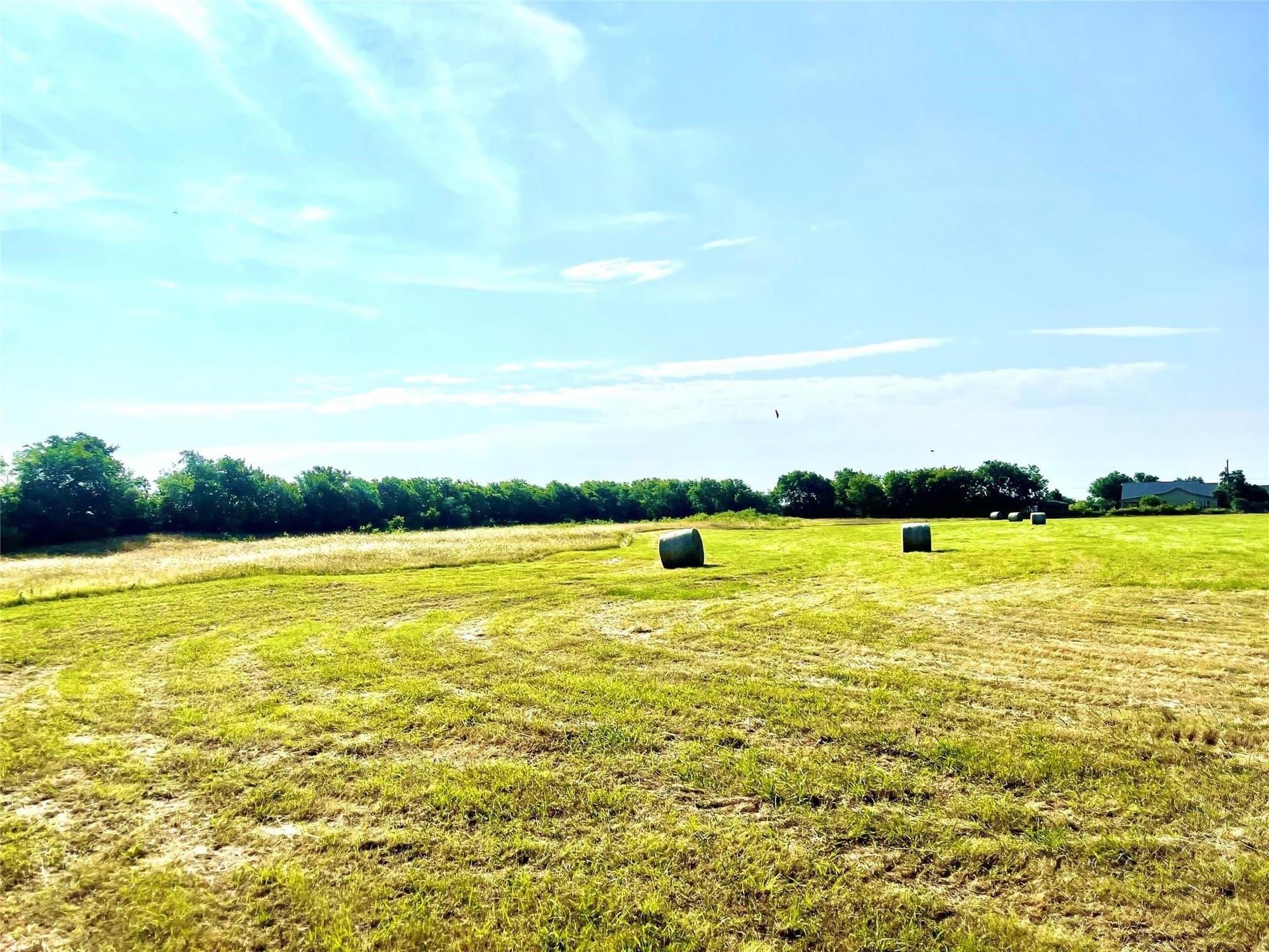 26 acres in Limestone County - photo 13