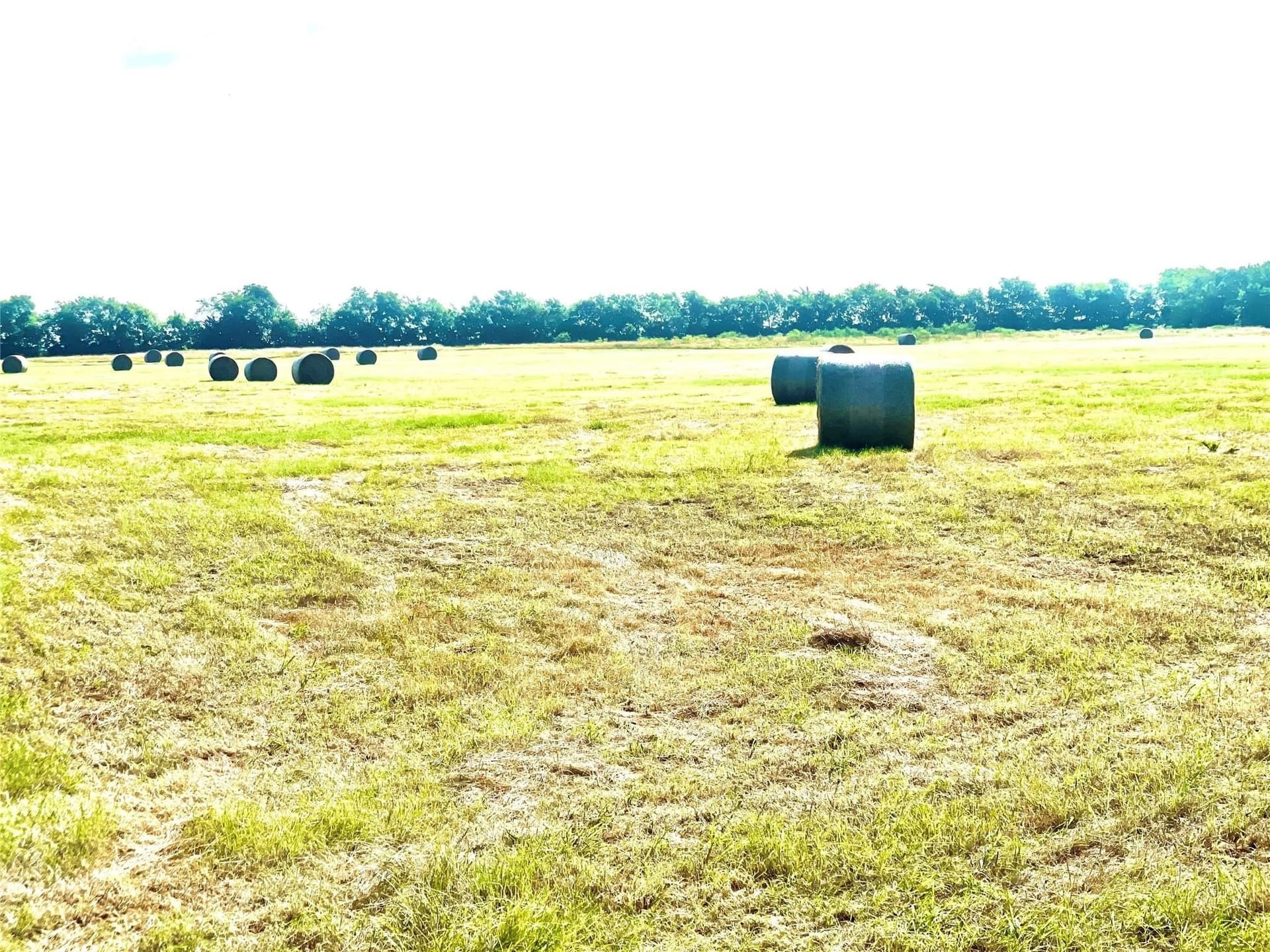 26 acres in Limestone County featured view