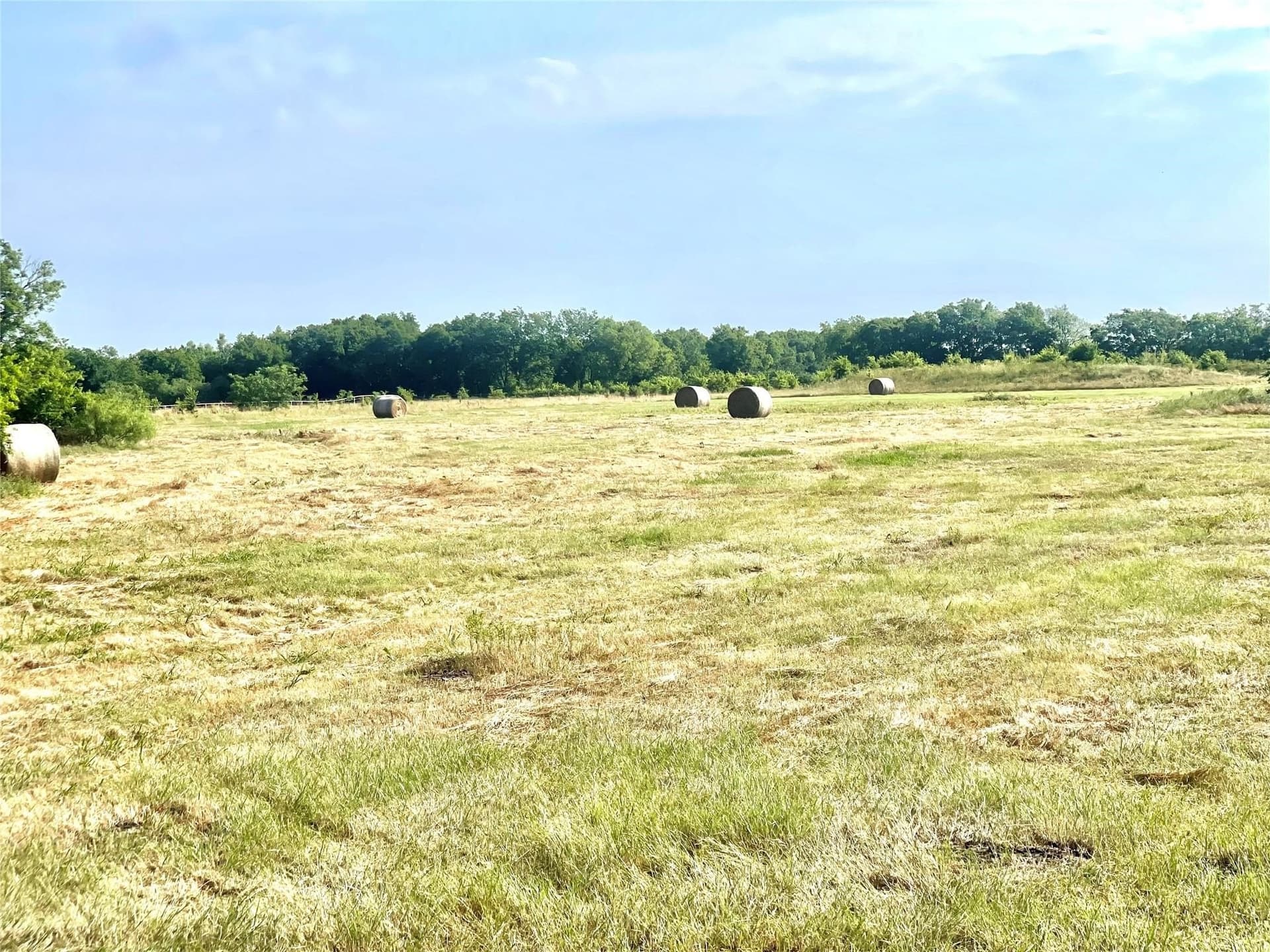 26 acres in Limestone County gallery image 2