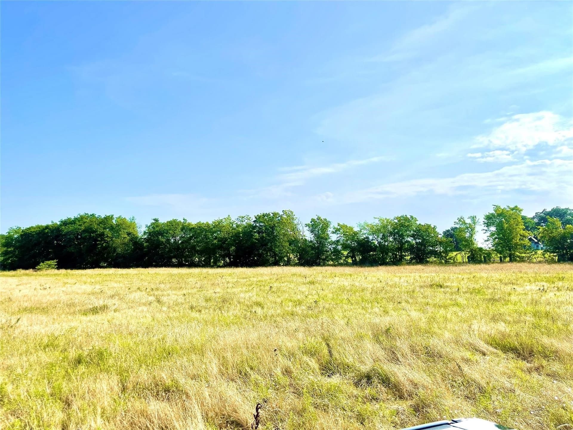 26 acres in Limestone County - photo 12