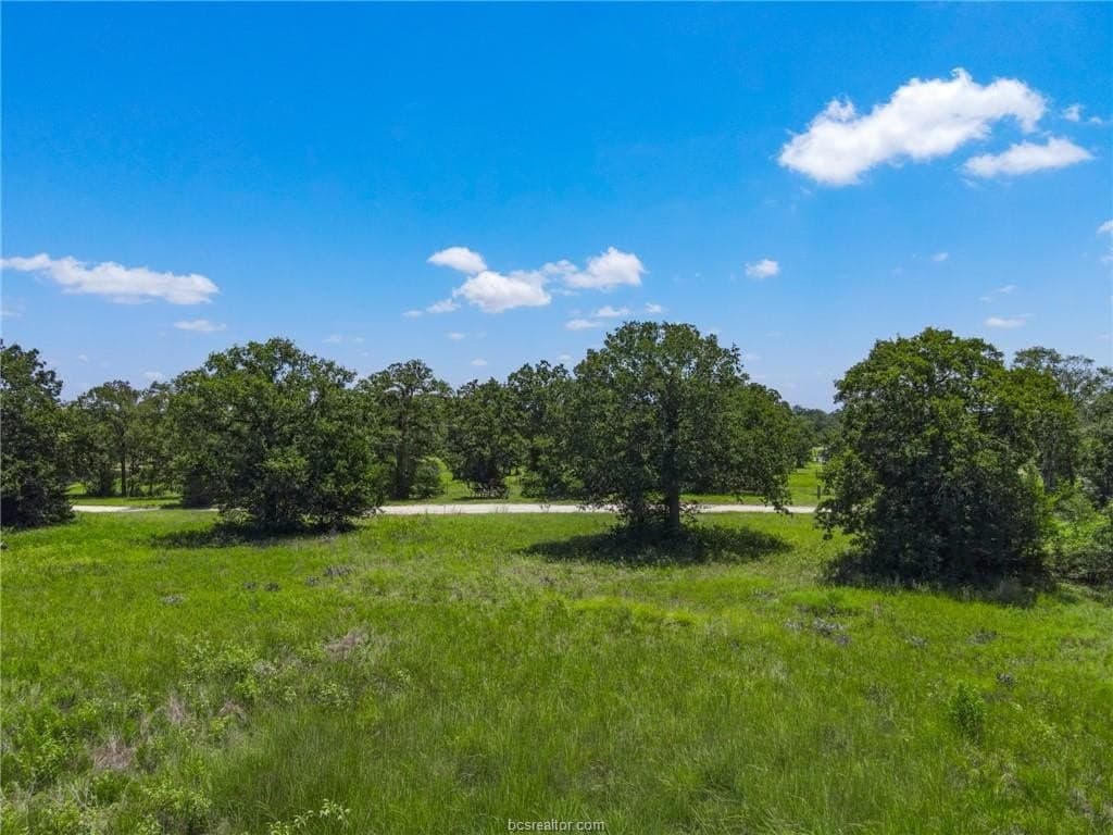 5 acres in Brazos County - photo 6
