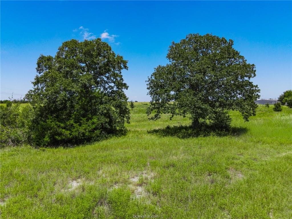 5 acres in Brazos County gallery image 4