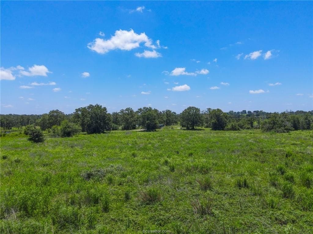 5 acres in Brazos County gallery image 2