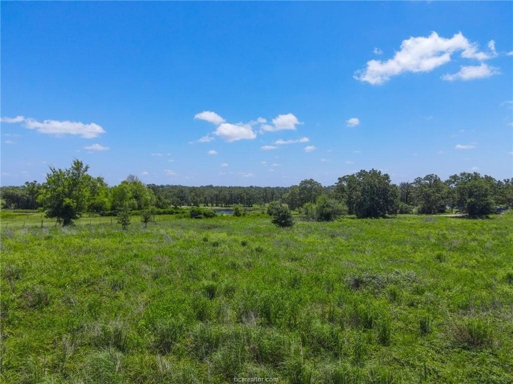 5 acres in Brazos County - photo 10