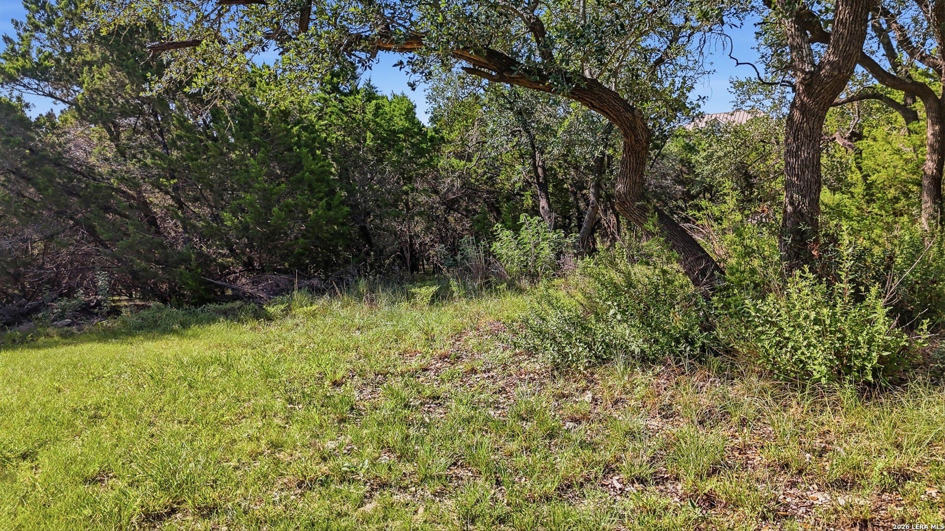 0.78 acres in Comal County - photo 6