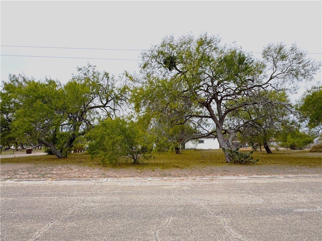 0.16 acres in Kleberg County gallery image 2