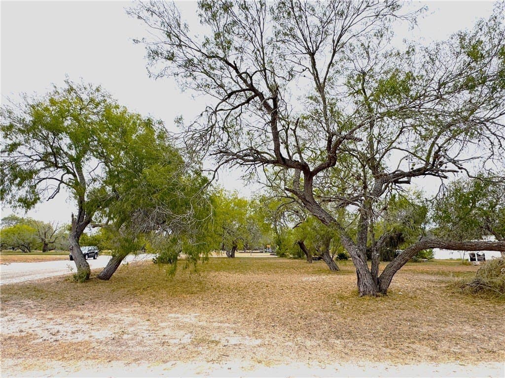0.16 acres in Kleberg County gallery image 3