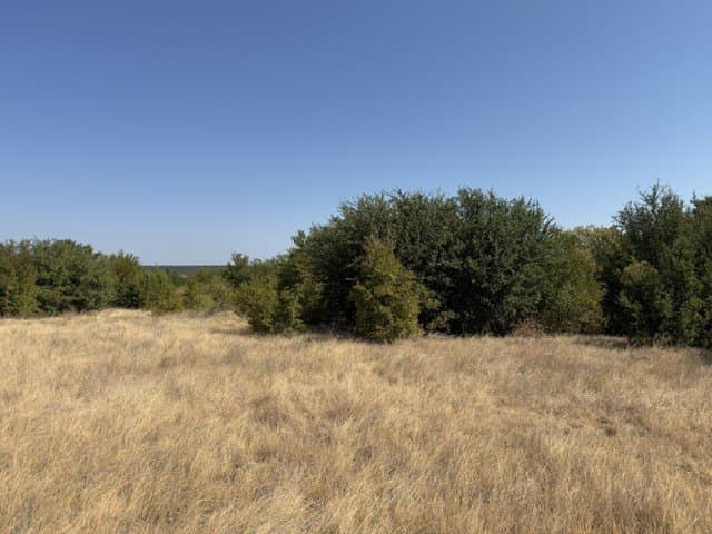 4.66 acres in Palo Pinto County - photo 4