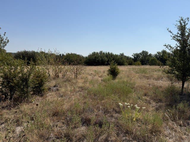 4.66 acres in Palo Pinto County - photo 3
