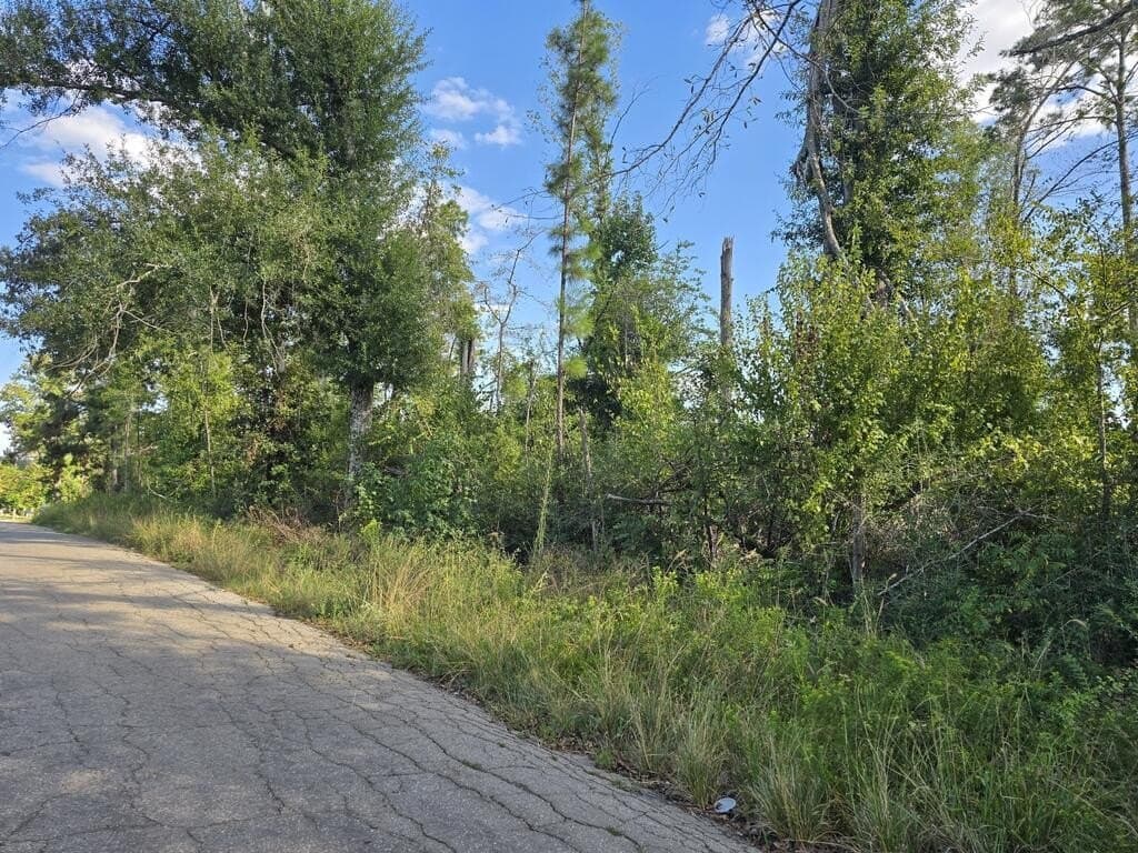 0.81 acres in Texas County - photo 3