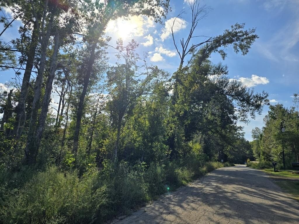 0.81 acres in Texas County - photo 6