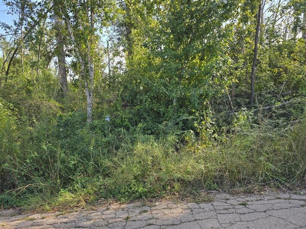 0.81 acres in Texas County - photo 8