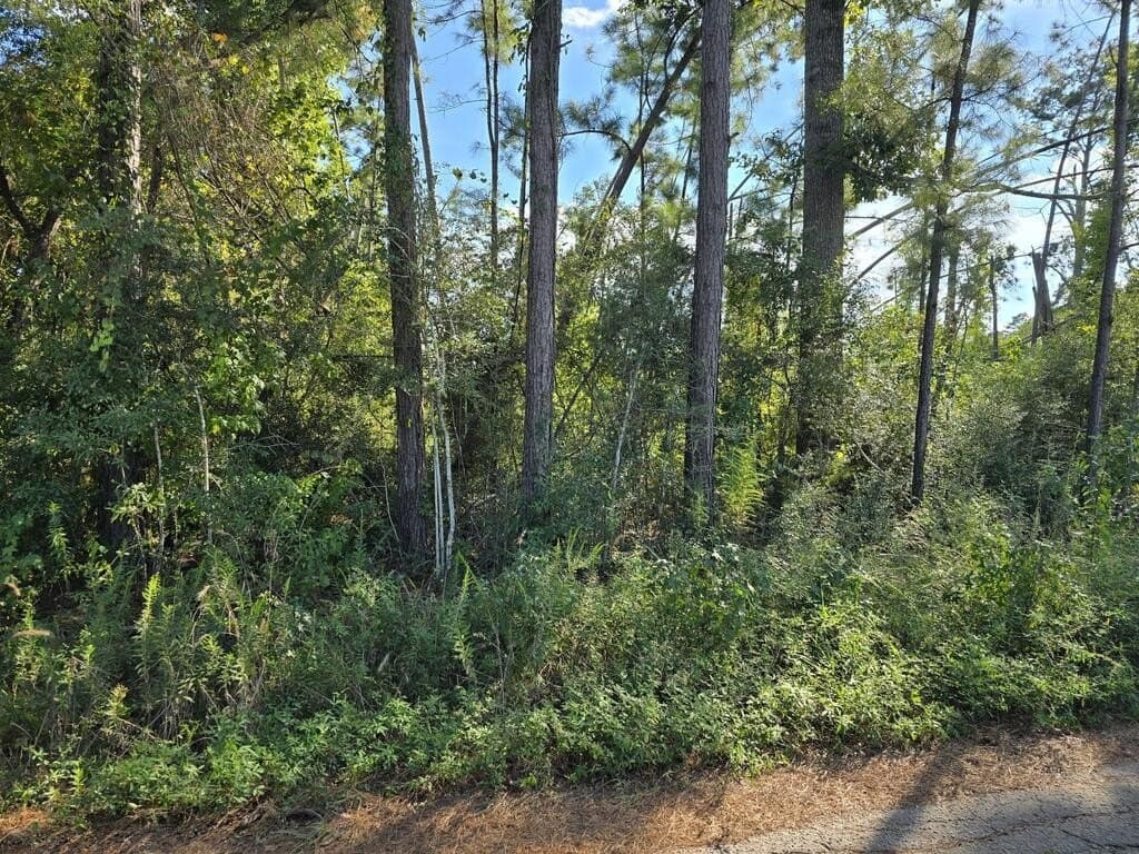 0.81 acres in Texas County - photo 2