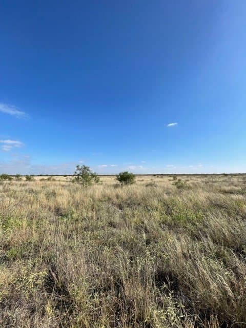 18 acres in Haskell County - photo 2