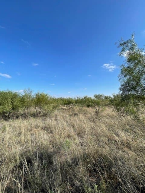 18 acres in Haskell County - photo 4