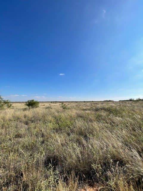 18 acres in Haskell County - photo 3
