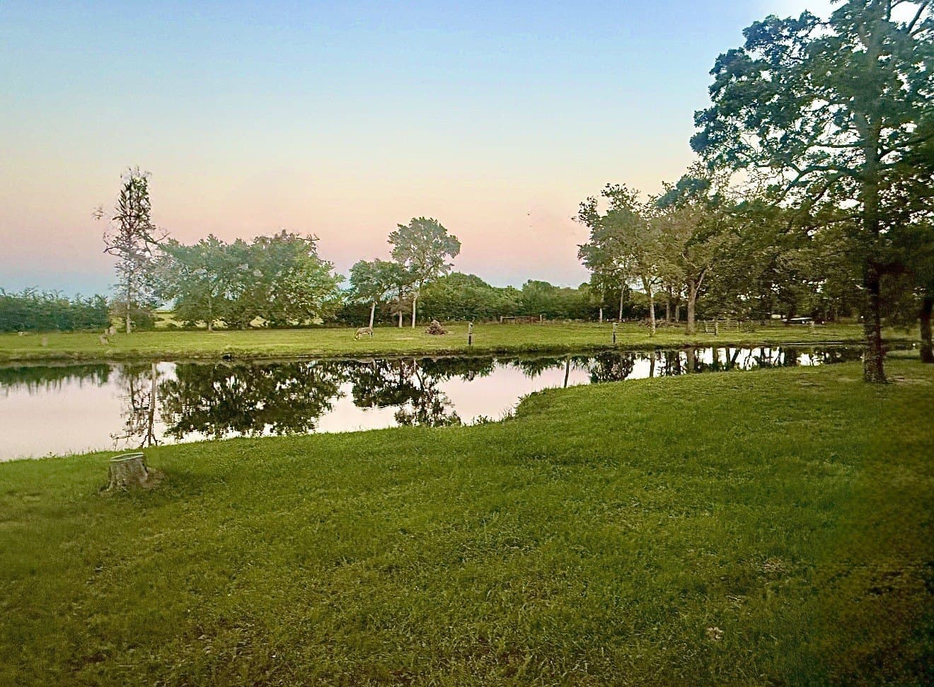 41.2 acres in Van Zandt County - photo 4