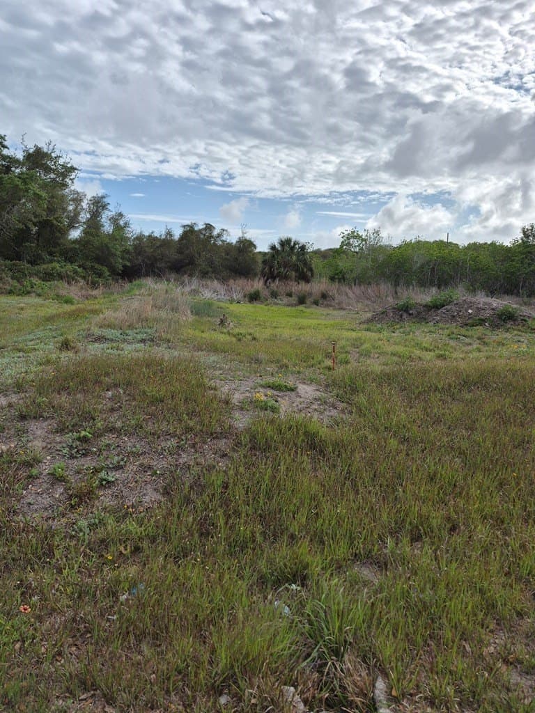 0 acres in Texas County gallery image 3