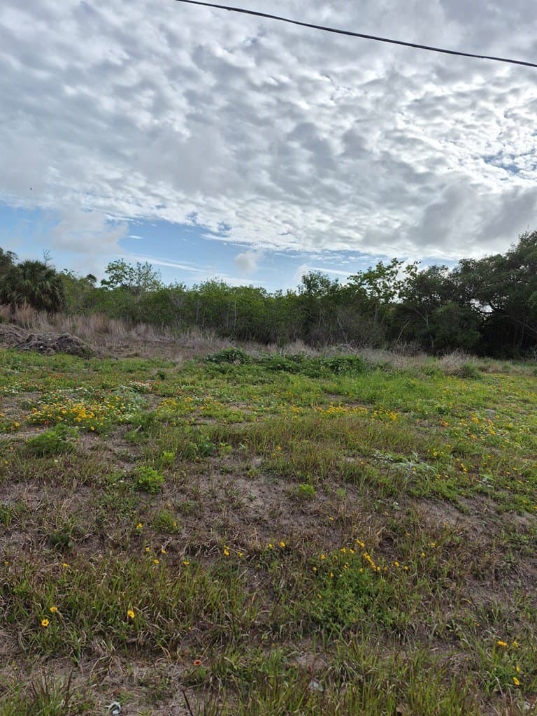 0 acres in Texas County gallery image 2