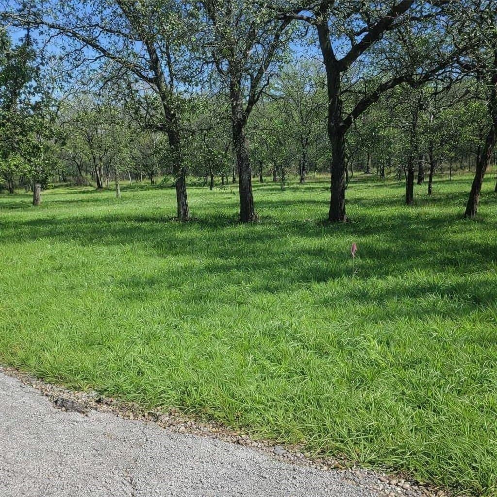 0.51 acres in Wise County - photo 4