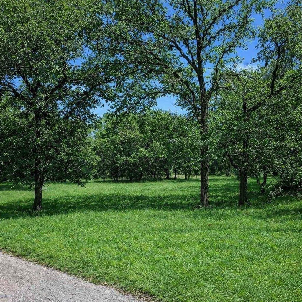 0.51 acres in Wise County - photo 3