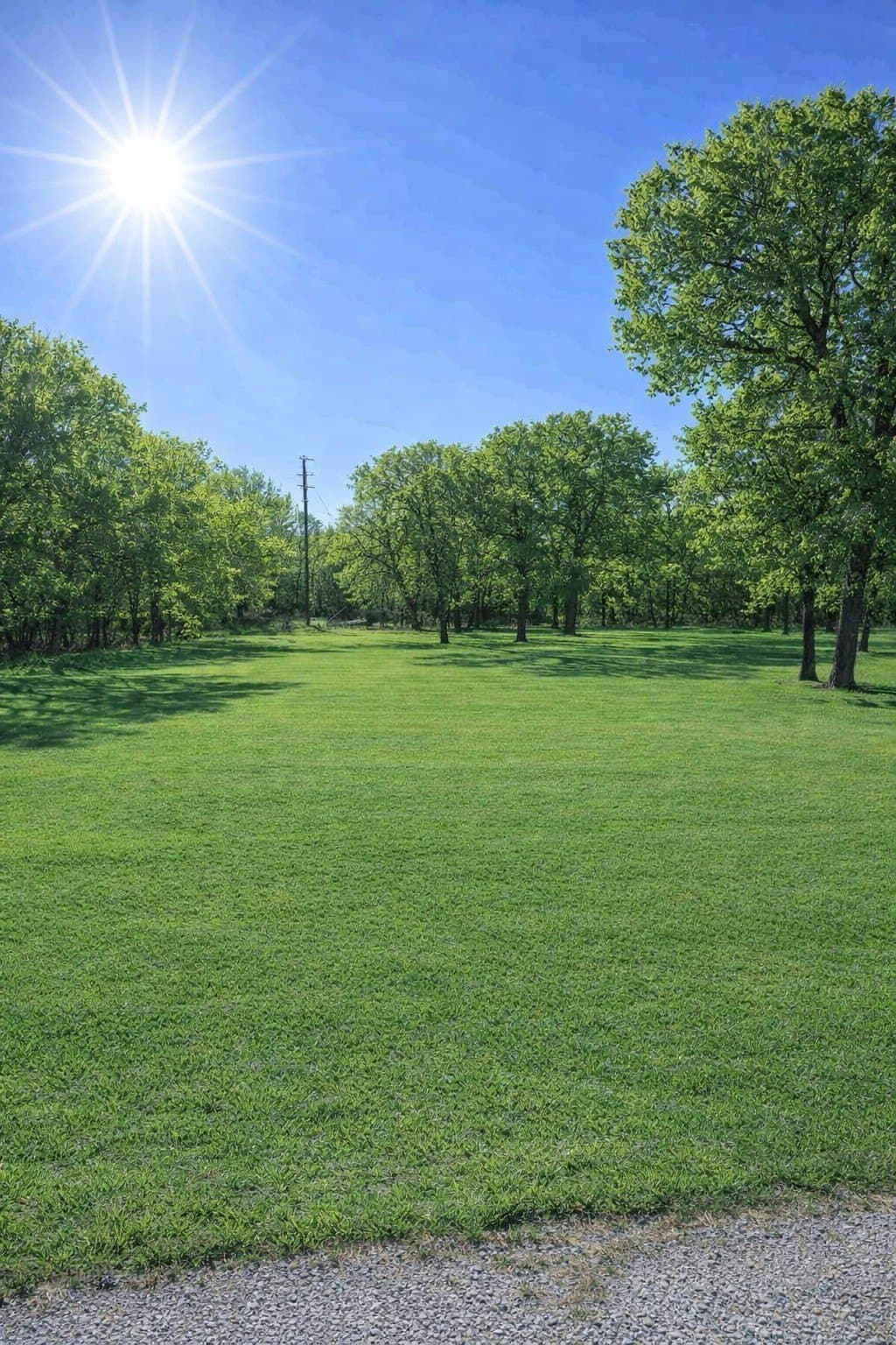 0.51 acres in Wise County - photo 2