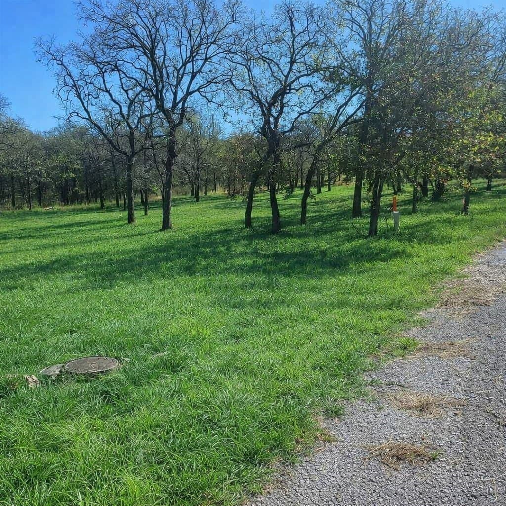 0.51 acres in Wise County - photo 5